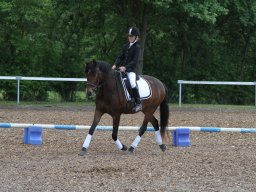 IMG_4803_web